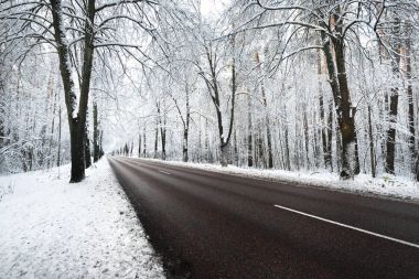 Kar sokak ağaçları ve yolun kapalı