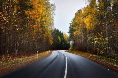 Otoban yol, renkli bir sonbahar ormanındaki 
