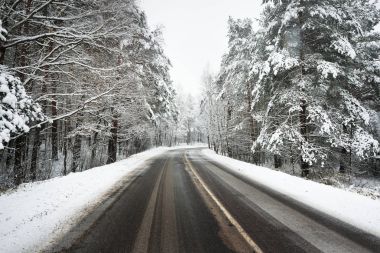 karla kaplı bir ormanda yol asfalt