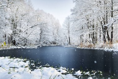 Gölde bir kış orman
