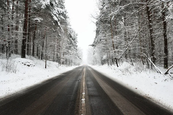 Strada asfaltata in un bosco coperto di neve — Foto Stock