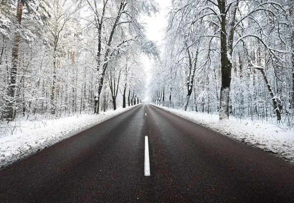 Gränden av snö täckte träden och vägen — Stockfoto