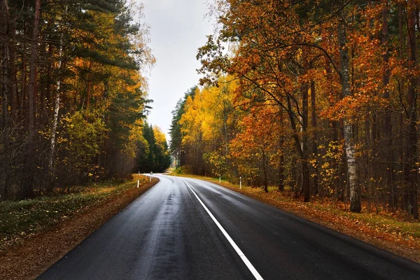 Estrada rodoviária em uma floresta de outono colorido — Fotografia de Stock