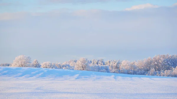 Pays des merveilles hivernales sur une prairie avec une forêt de feuillus — Photo