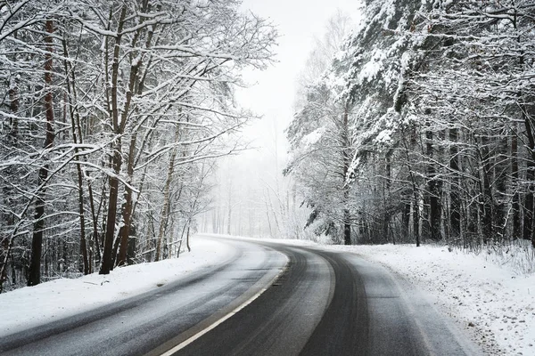 Strada asfaltata in un bosco coperto di neve — Foto Stock