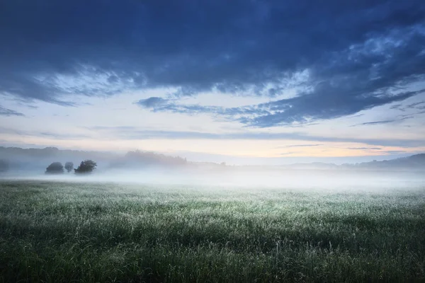 Campo rural coberto com nevoeiro matinal — Fotografia de Stock