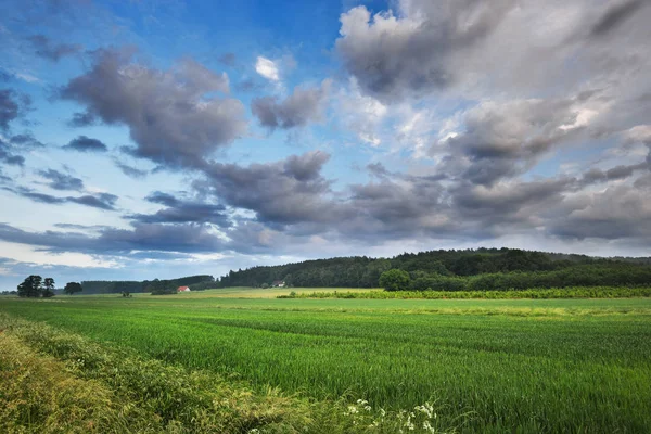 Hills arka planda yeşil tarım alanları