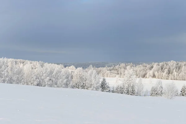 Winters aanblik van heuvels bedekt met bos — Stockfoto