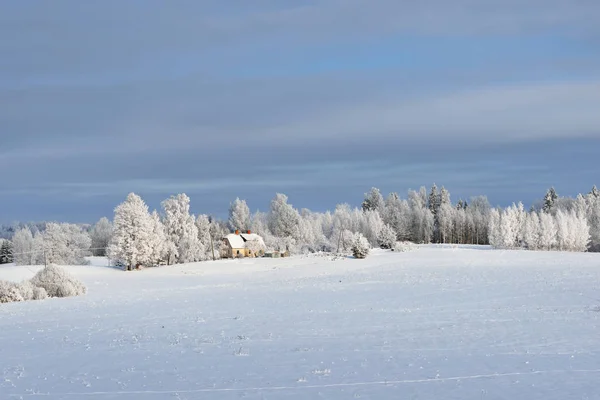 Paesaggio invernale con accoglienti case coloniche — Foto Stock
