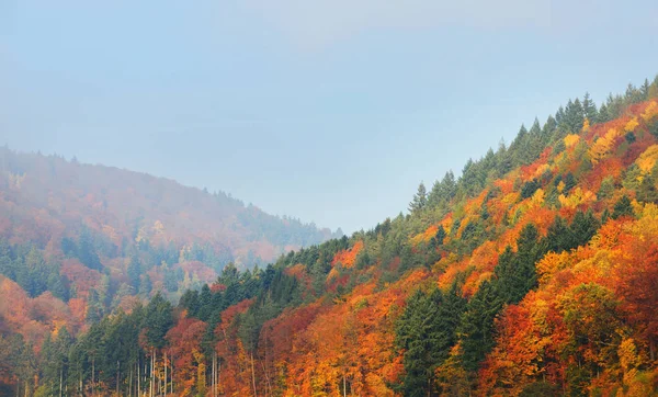 Vista del valle del río Neckar en otoño — Foto de Stock