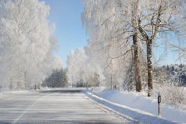 Winter wonderland snowcovered forest road — Stock Photo, Image