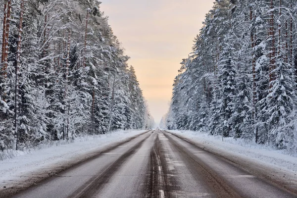 A téli erdő autópálya — Stock Fotó