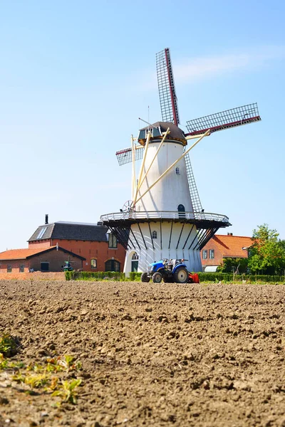 古典的なオランダの風景 — ストック写真