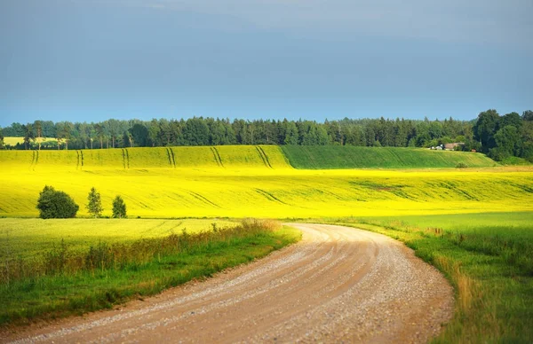 tarımsal ürün alanlarda çakıl yol