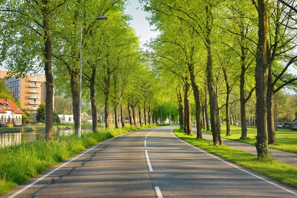 Güzel bisiklet yol ağaçlarıyla çevrili