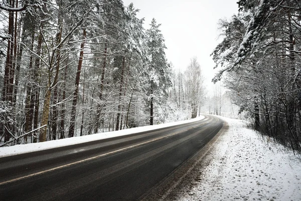 karla kaplı bir ormanda yol asfalt