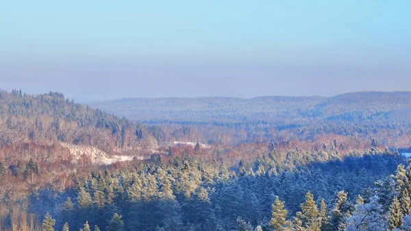 Hügel und Täler in einem verschneiten Winter mit Wald bedeckt — Stockfoto