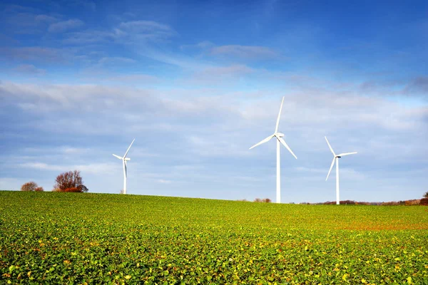 Сельскохозяйственное поле с сельскохозяйственными культурами с ветряными турбинами — стоковое фото