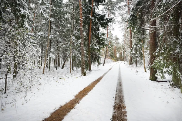 Küçük orman yolu üzerinde ilk kar