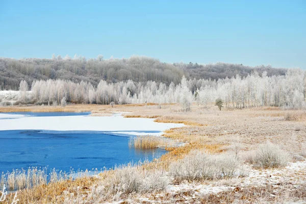 Lac entouré de prairies enneigées et forêt — Photo