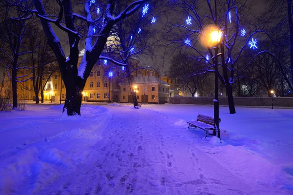 Park im Winter mit Weihnachtsdekoration — Stockfoto