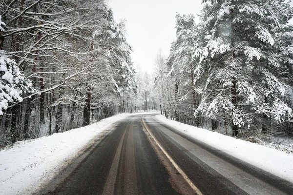 Asphalt road in a forest covered with snow — Stock Photo, Image