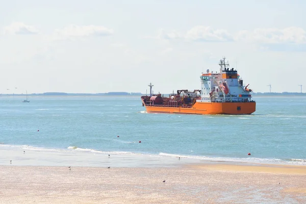 Sahilin yanında yelken kırmızı kargo gemisi 