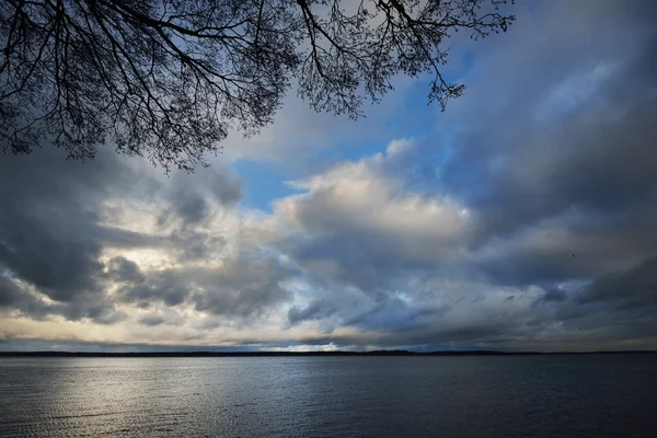 Sjön landskap med trädgrenar under stormen — Stockfoto