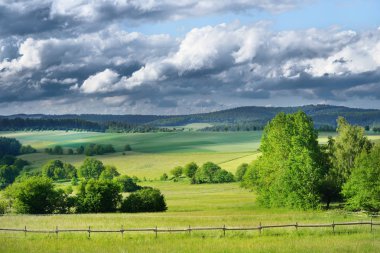 Orman ile tepelerde yeşil tarım alanları