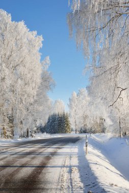 Kış harikalar diyarı irtifa orman yolu