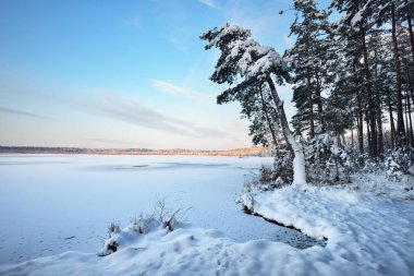 Gölde bir kış orman 