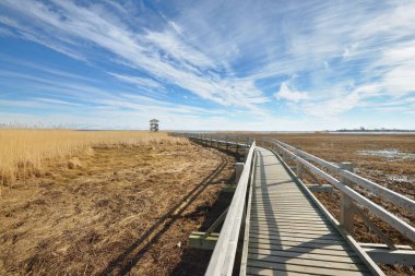 Bir bataklık alan boyunca ahşap yürüme yolu