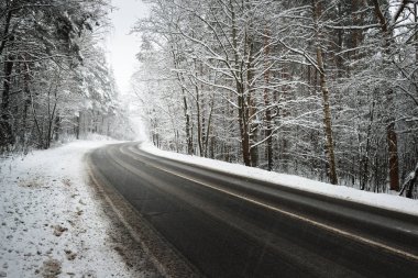 karla kaplı bir ormanda yol asfalt