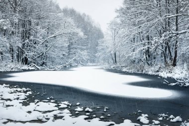 Taze karla kaplı Orman Gölü