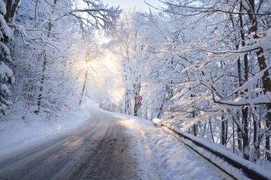 Kışın karlı orman yolu üzerinde oturum