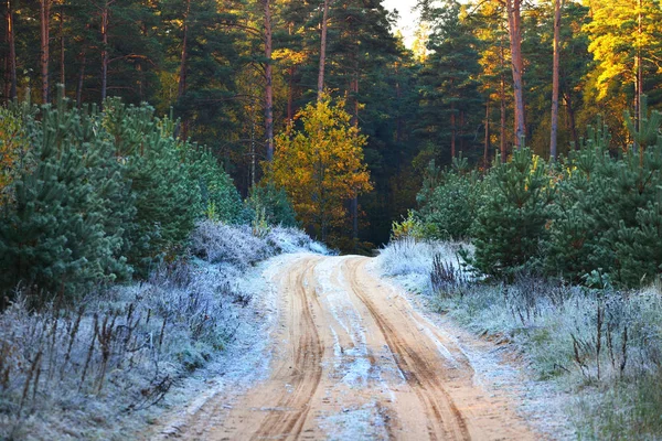 Una strada nel bosco di autunno coperto di rime — Foto Stock