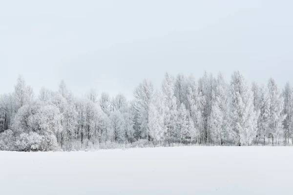 Χειμώνα αγροτικό τοπίο με δάση καλύπτονται — Φωτογραφία Αρχείου