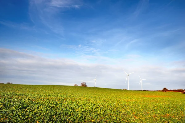 Jordbruksområdet med grödor med vindkraftverk — Stockfoto