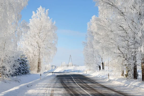 Inverno país das maravilhas coberto de neve floresta estrada — Fotografia de Stock