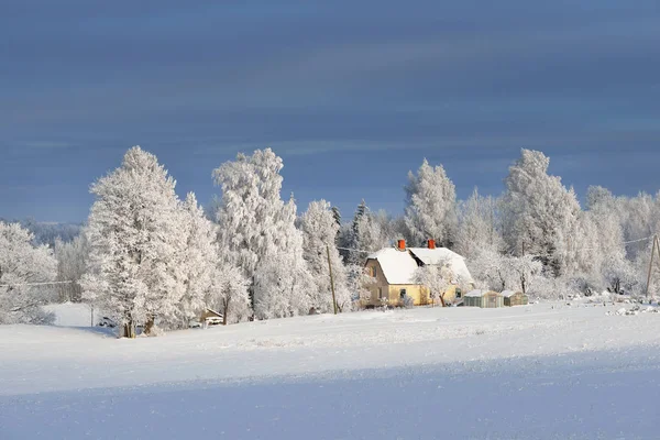 Acogedora granja en un campo cubierto de nieve — Foto de Stock