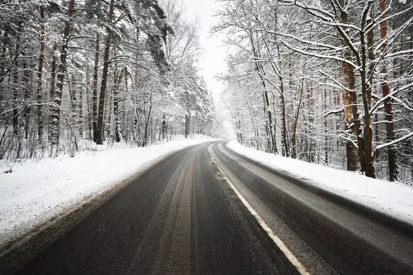 karla kaplı bir ormanda yol asfalt