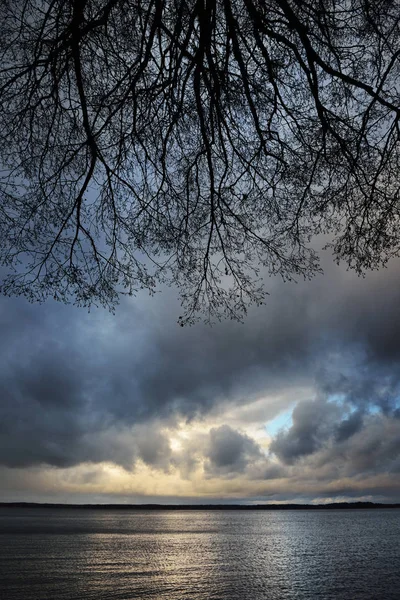 Sjön landskap med trädgrenar under stormen — Stockfoto