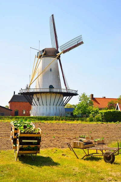Holandská krajina zobrazení — Stock fotografie