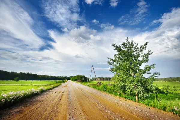 Могильная дорога в зеленом поле — стоковое фото