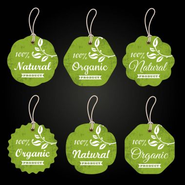 Retro organik karton etiketler ve tasarım için Etiketler vektör kümesi