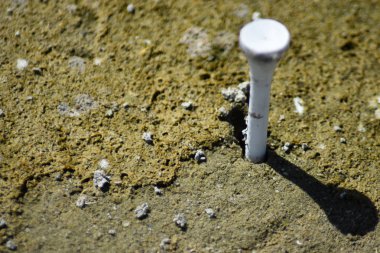 Yosunlu kumsalda dinlenen beyaz golf tişörtü..