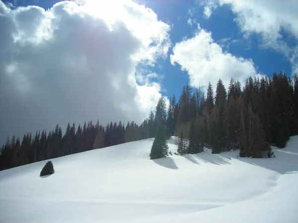 Dağlarda karlı tepe, yeşil köknar ağaçları, bulutlar ve kışın mavi gökyüzü..