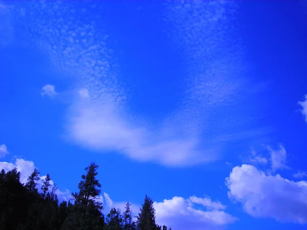 Tiefblauer Himmel Mit Wolken Und Silhouette Grüner Bäume Wald — Stockfoto