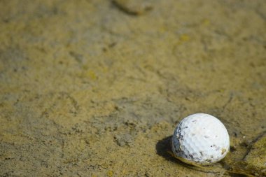 Beyaz golf topu yosunlu kumsalda dinleniyor..