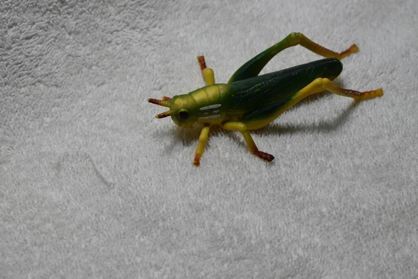 Zelená Žlutá Dětská Hračka Kobylka Bílém Povrchu Látky — Stock fotografie